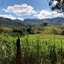 Meu projeto do curso: Fotografia profissional para Instagram. Een project van Fotografie van Marcus Vinicius Ferreira da Rocha - 20.07.2020