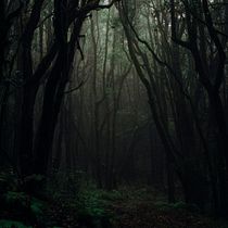 Sombras en el bosque. Video Games, Script, and Game Design project by Eva María Plaza Díaz - 12.30.2020