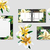 My project in Botanical Illustration with Watercolors course. Ilustração botânica projeto de tamnaghidini - 21.07.2020