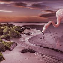 Mi Proyecto del curso: Fotomontaje surrealista con Photoshop  Ein Projekt aus dem Bereich Fotomontage von marialauracatalan - 21.07.2020