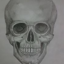 My project in Figure Drawing for Beginners course Ein Projekt aus dem Bereich Artistische Zeichnung, Anatomische Zeichnung, Bleistiftzeichnung und Realistische Zeichnung von diogovb - 21.07.2020