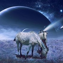 Space horses. Photomontage project by Marisa Zurita López - 07.22.2020
