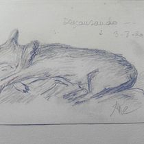 Proyecto1 Rosa Villares. Traditional illustration project by Rosa Villares - 08.03.2020