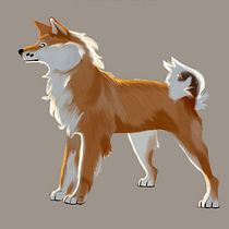 Mi Proyecto del curso: Ilustración naturalista de animales con Procreate. Desenho digital projeto de Ariana Orihuela - 31.07.2020