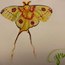 Mi Proyecto: Mariposa Africana. Drawing, and Artistic Drawing project by greciaabril2003 - 07.23.2020