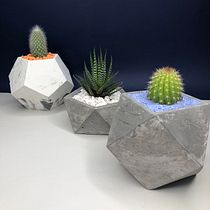 Mi Proyecto del curso: Macetas de concreto para suculentas . Een project van Industrieel ontwerp van alandcaamal - 25.07.2020