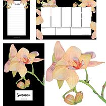 Orquidea. Artesanato, Artes plásticas, Design gráfico, Ilustração tradicional, Ilustração botânica, e Pintura em aquarela projeto de Desirée Lara - 26.07.2020