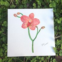 Meu projeto do curso: Ilustração botânica com aquarela. Pintura em aquarela projeto de Júlia Alencar - 28.07.2020