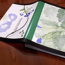Mi Proyecto del curso: Una carpeta para mis acuarelas. Ilustração botânica e Ilustração tradicional projeto de María Susana Steiger - 28.07.2020