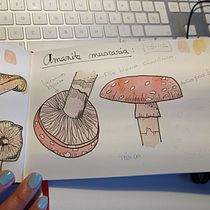 Mi Proyecto del curso: Cuaderno botánico en acuarela. Un progetto di Disegno, Disegno a matita, Design, Illustrazione tradizionale, Illustrazione botanica e Pittura ad acquerello di Desirée Lara - 28.07.2020
