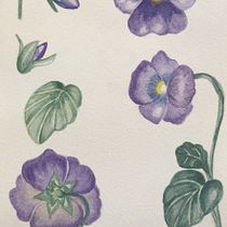 Meu projeto do curso: Caderno botânico em aquarela. Un progetto di Pittura ad acquerello di Paula Rocha - 28.07.2020