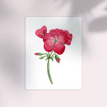 Mi Proyecto del curso: Ilustración botánica con acuarela. Botanical Illustration project by Camila Basoalto - 07.28.2020