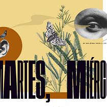 Proyecto "collage editorial danizeta". Concept Art projeto de Daniela Zúñiga - 30.07.2020