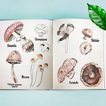 Mi Proyecto del curso: Cuaderno botánico en acuarela. Un progetto di Bozzetti, Creatività, Disegno, Disegno a matita, Disegno artistico, Disegno realistico, Illustrazione tradizionale, Illustrazione botanica, Illustrazione con inchiostro, Pittura e Pittura ad acquerello di Jocelin Flores - 31.07.2020