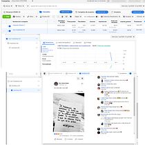 Mi Proyecto del curso: Google Ads y Facebook Ads desde cero. Marketing para Facebook projeto de Johana Nieto - 31.07.2020