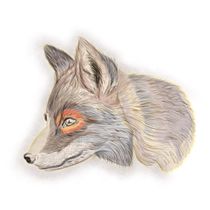 Mi Proyecto del curso: Ilustración naturalista de animales con Procreate. Artes plásticas projeto de ricardo0354 - 01.08.2020