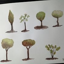 Arboles en acuarela. Pencil Drawing project by Patricia Mujica Fernández - 07.31.2020
