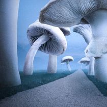 Mi Proyecto del curso: Matte Painting: creando mundos fotorrealistas. Photomontage project by nakuu34 - 08.01.2020