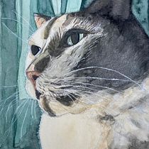 My project in Experimental Watercolor Techniques for Beginners course. Watercolor Painting project by shariscoppens - 08.09.2020