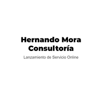 Mi Proyecto del curso: Hernando Mora Consultoría. Un proyecto de Consultoría creativa de Hernando Mora - 03.08.2020