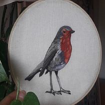Mi petirrojo. Embroider project by Sarah Moraes - 08.03.2020