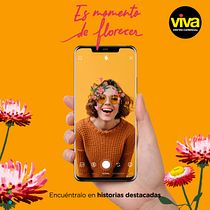 Proyecto: Filtros ilustrados para Facebook e Instagram Stories. Un progetto di Design, Illustrazione tradizionale, Instagram e Marketing di Alejandra Rodríguez Vélez - 04.08.2020