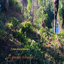 Mi Proyecto del curso: Introducción al storytelling personal. Un proyecto de Educación de cidte.hn - 06.08.2020