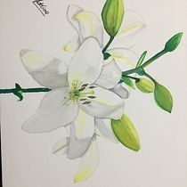 Mi Proyecto del curso: Ilustración botánica con acuarela. Desenho projeto de adelinabauzan - 11.09.2020