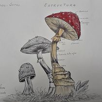 Mi Proyecto del curso: Cuaderno botánico en acuarela. Un progetto di Illustrazione botanica di Martha Leticia Aguilar Ortiz - 10.08.2020