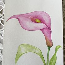 Mi Proyecto del curso: Ilustración botánica con acuarela. Ilustração tradicional, Artes plásticas, Pintura, Desenho, Pintura em aquarela e Ilustração botânica projeto de Sira Worling - 23.02.2022