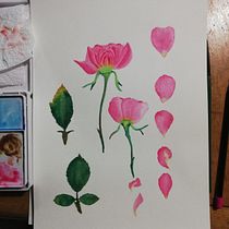 Mi Proyecto del curso: Ilustración botánica con acuarela. Ilustração botânica projeto de Cyndi Estrella Vega - 11.08.2020