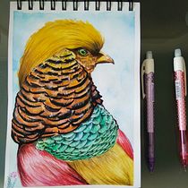 Mi Proyecto del curso: Técnicas experimentales de acuarela para principiantes . Creativit, Drawing, and Watercolor Painting project by Wendy Alejandra Mata Roldán - 08.12.2020
