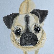 Mi Proyecto del curso: Mi perrito Hugo! :) . Watercolor Painting project by martymarina - 08.12.2020