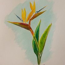 Mi Proyecto del curso: Ilustración botánica con acuarela. Educação projeto de PABLO MARTINEZ HERNANDEZ - 18.08.2020