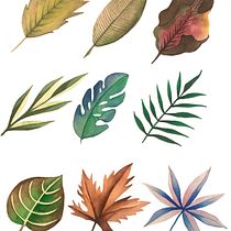 Bday Card & Botanical Study. Un progetto di Illustrazione botanica, Illustrazione tradizionale e Pittura ad acquerello di gigi_o - 16.08.2020