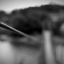 Mi proyecto en blanco y negro. Photograph project by germeireles - 08.18.2020