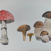 My project in Botanical Watercolor Sketchbook course. Un progetto di Pittura ad acquerello di bvicuska - 18.08.2020