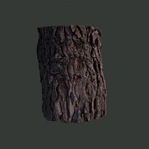 Mi Proyecto del curso: Introducción a la fotogrametría 3D Ein Projekt aus dem Bereich 3D und 3-D-Design von Borja - 21.08.2020