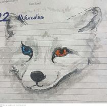 Mi Proyecto del curso: Técnicas de ilustración para desbloquear tu creatividad. Projekt z dziedziny  Sztuki piękne użytkownika angela peñaranda - 20.08.2020