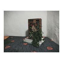Mi Proyecto del curso: Diseño y creación de composiciones botánicas. Un progetto di Creatività di Sebastián Olavarría - 28.08.2020