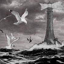 Mi Proyecto del curso: Collage animado con Adobe After Effects. Un progetto di Animazione di nivvvo nivvvo - 28.08.2020