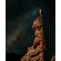 Mi Proyecto del curso: Secretos del fotomontaje y el retoque creativo. Graphic Design, and Photomontage project by Irelba Pizarro Bugueño - 08.29.2020