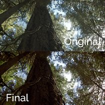 Mi Proyecto del curso: Etalonaje digital con DaVinci Resolve. Color Correction, Video Editing, Film, Video, TV, Film, Video, TV, and Audiovisual Post-production project by Andre Viacava - 08.31.2020