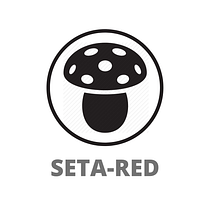 Seta Red: Magia y Negocios. Digital Marketing project by a20145415 - 09.07.2020