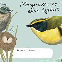 My project in Naturalist Animal Illustration with Procreate course. Ilustração tradicional projeto de Alena Lem - 05.09.2020