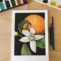 Mi Proyecto del curso: Ilustración botánica con acuarela. Ilustração botânica projeto de Liebre De marzo - 03.09.2020