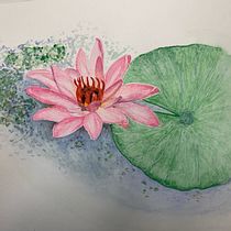 Duas Flores Brasileiras . Ilustração botânica projeto de Ruth Nogueira - 04.09.2020