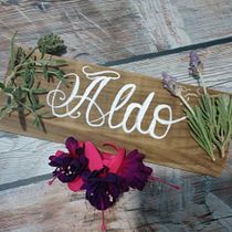 Caligrafía  y naturaleza Ein Projekt aus dem Bereich  von Aldo Ríos Mendoza - 05.09.2020
