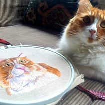 Mi primer Needle painting gatuno. Embroider, Sewing, and DIY project by Vanesa Quintanar Olguin - 09.05.2020