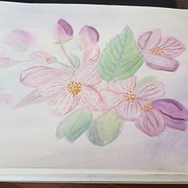 Mi Proyecto del curso: Creación de paletas de color con acuarela. Un progetto di Ricamo, Composizione fotografica e Pittura ad acquerello di Constanza jimenez - 07.09.2020